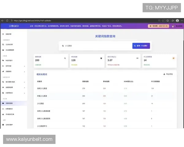 开云网中国用户体验优化的重要性及实施策略