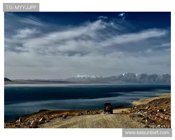 开云官方app入口安全登录流程详解，保障用户在开云官方平台的账户安全与使用便捷