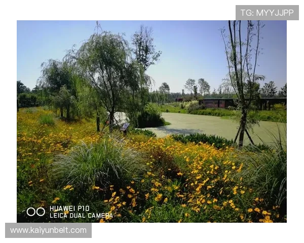 开云官网中文站购物指南，详细解析购买流程与优惠活动