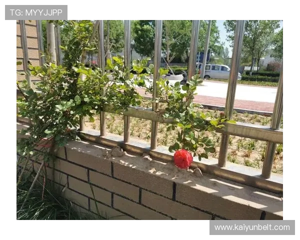 开云金年会app登录流程全攻略帮助新用户快速上手体验