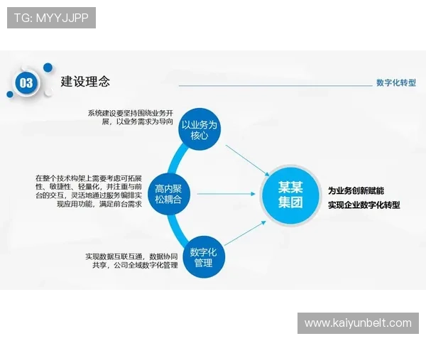 开云集团数字化转型推动企业持续增长的策略 开云集团数字化转型推动企业持续增长的策略