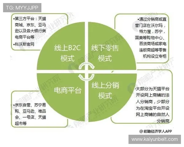 开云集团旗下所有品牌的线上线下销售渠道布局与推广策略